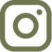 Instagram app icon with a simplified camera symbol in olive green.